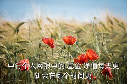 中國(guó)銀行000993基金凈值,000993基金凈值查詢今天最新凈值
