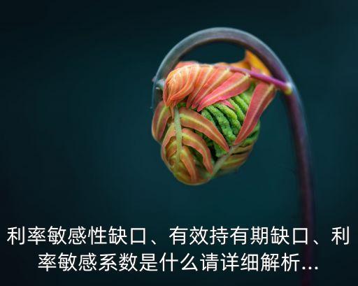 利率敏感性缺口、有效持有期缺口、利率敏感系數(shù)是什么請(qǐng)?jiān)敿?xì)解析...