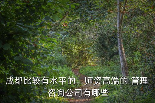 成都比較有水平的、師資高端的 管理 咨詢公司有哪些