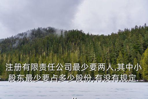 注冊有限責(zé)任公司最少要兩人,其中小股東最少要占多少股份,有沒有規(guī)定...