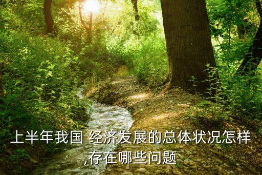 上半年我國 經濟發(fā)展的總體狀況怎樣,存在哪些問題
