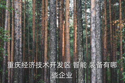 重慶經(jīng)濟(jì)技術(shù)開(kāi)發(fā)區(qū) 智能 裝備有哪些企業(yè)