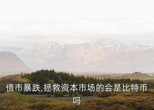 債市暴跌,拯救資本市場(chǎng)的會(huì)是比特幣嗎