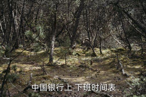 中國銀行一般幾點(diǎn)下班,四大銀行口碑最差的一個(gè)