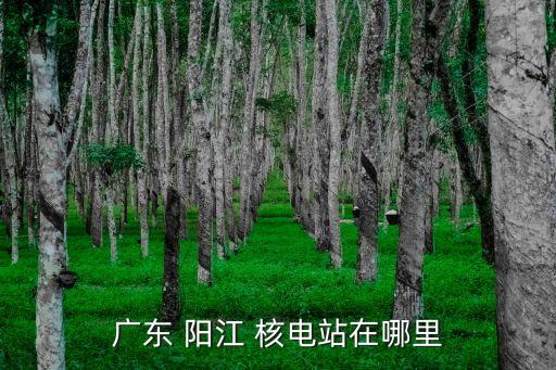 陽江核電基地開發(fā)有限公司,中廣核核電運(yùn)營(yíng)有限公司陽江分公司