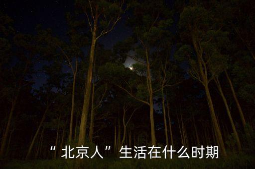 “ 北京人”生活在什么時(shí)期