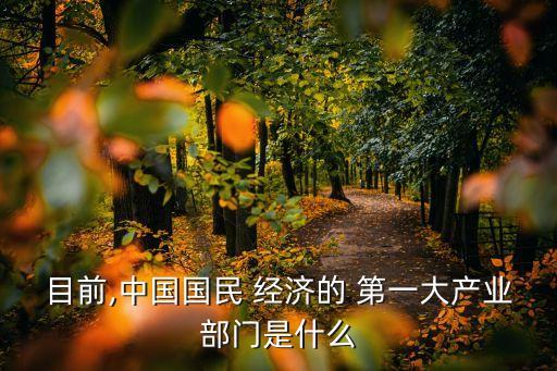 目前,中國國民 經(jīng)濟(jì)的 第一大產(chǎn)業(yè)部門是什么