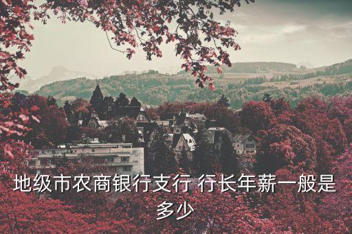地級(jí)市農(nóng)商銀行支行 行長年薪一般是多少
