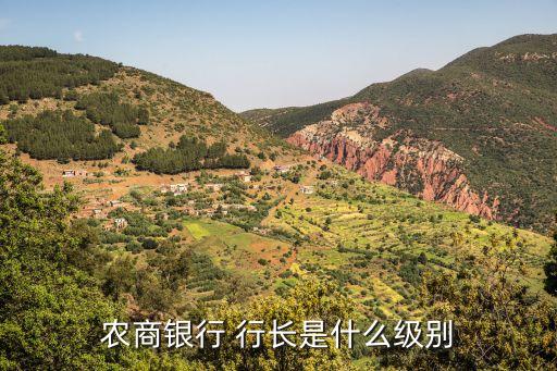 農(nóng)商銀行 行長是什么級(jí)別