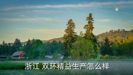 浙江 雙環(huán)精益生產怎么樣