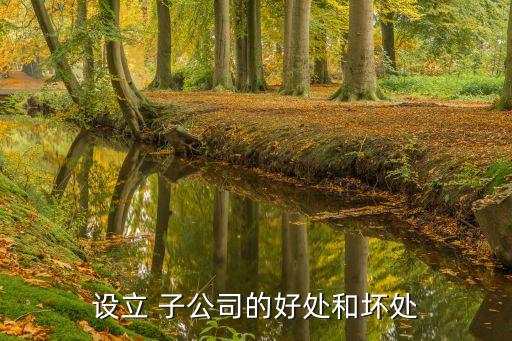 設立 子公司的好處和壞處