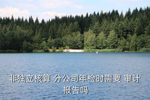 非獨(dú)立核算 分公司年檢時需要 審計(jì) 報告嗎
