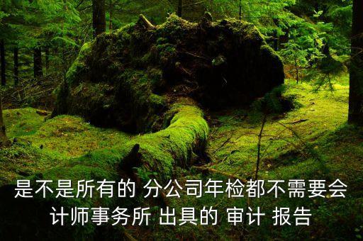 是不是所有的 分公司年檢都不需要會計(jì)師事務(wù)所 出具的 審計(jì) 報告