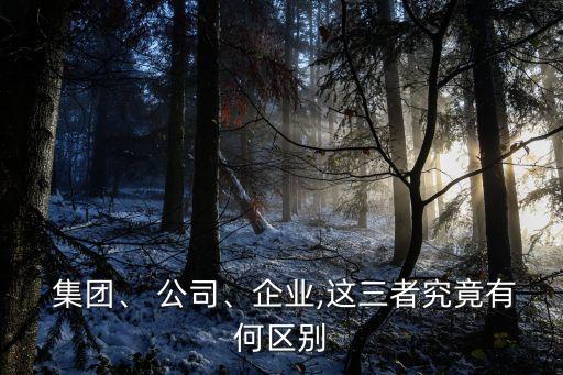  集團、 公司、企業(yè),這三者究竟有何區(qū)別