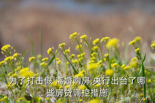 為了打擊假 離婚購房,央行出臺(tái)了哪些房貸調(diào)控措施