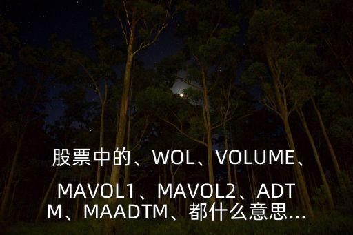  股票中的、WOL、VOLUME、MAVOL1、MAVOL2、ADTM、MAADTM、都什么意思...