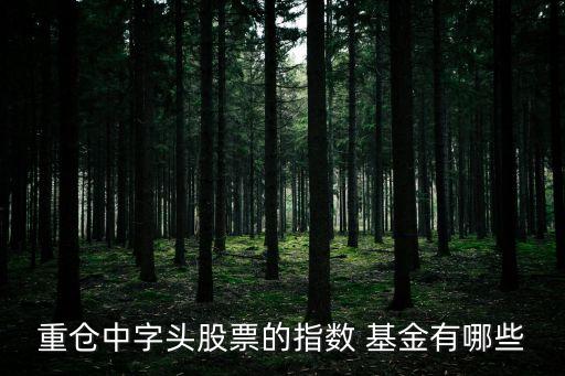 重倉(cāng)中字頭股票的指數(shù) 基金有哪些