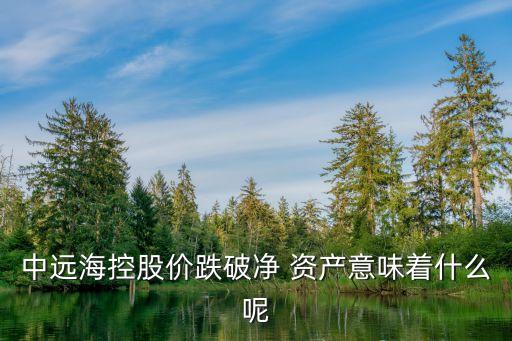 中遠(yuǎn)?？毓蓛r(jià)跌破凈 資產(chǎn)意味著什么呢