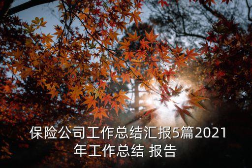 保險公司財(cái)務(wù)季度分析報告,XX公司XX年度\/季度財(cái)務(wù)分析報告