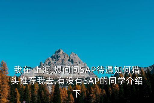 我在 上海,想問(wèn)問(wèn)SAP待遇如何獵頭推薦我去,有沒有SAP的同學(xué)介紹下