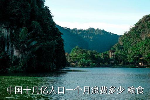 中國十幾億人口一個(gè)月浪費(fèi)多少 糧食