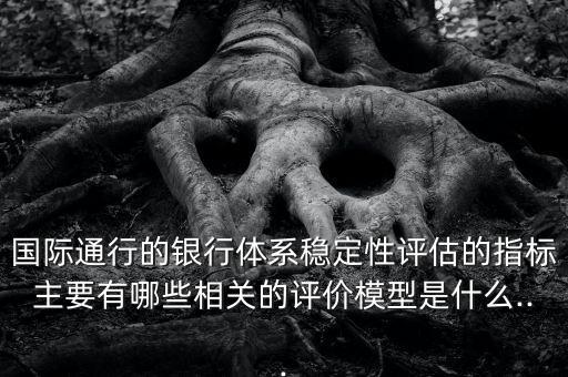 國際通行的銀行體系穩(wěn)定性評估的指標(biāo)主要有哪些相關(guān)的評價(jià)模型是什么...