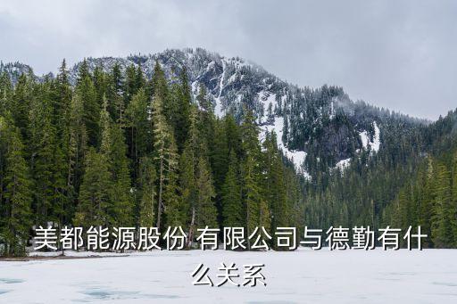  美都能源股份 有限公司與德勤有什么關系