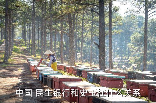 中國(guó) 民生銀行和史玉柱什么關(guān)系