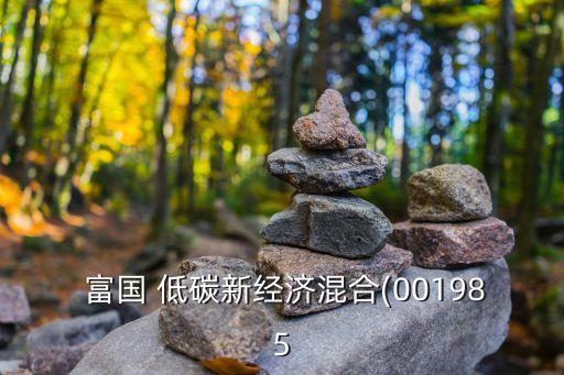富國(guó)低碳環(huán)保基金吧,富國(guó)碳中和基金