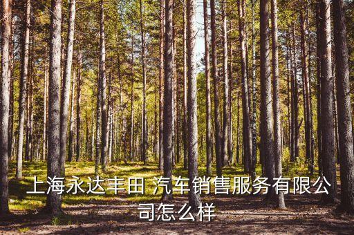 上海東昌汽車(chē)總監(jiān)張