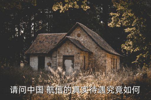 請問中國 航信的真實待遇究竟如何