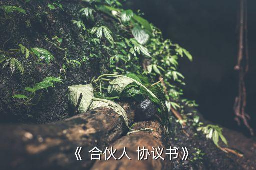 公司合伙人合作協(xié)議書(shū),二人合伙人股權(quán)分配方案
