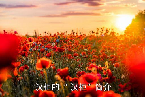  漢柜的“ 漢柜”簡(jiǎn)介