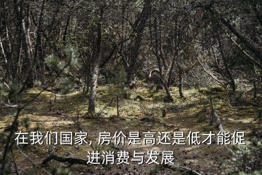 中國的高房價(jià)在于政府