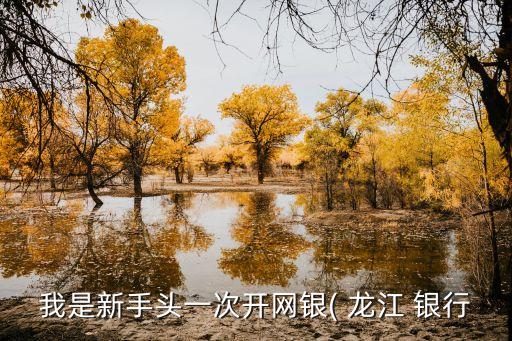我是新手頭一次開網銀( 龍江 銀行