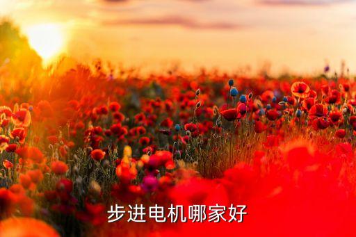 浙江臥龍電氣集團股份有限公司,臥龍電氣集團股份有限公司怎么樣