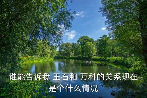 誰能告訴我 王石和 萬科的關(guān)系現(xiàn)在是個什么情況