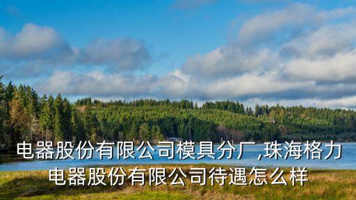 格力電器股份有限公司模具分廠(chǎng),珠海格力電器股份有限公司待遇怎么樣