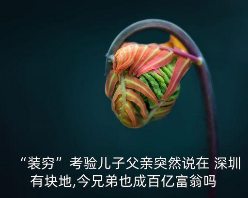 “裝窮”考驗(yàn)兒子父親突然說(shuō)在 深圳有塊地,今兄弟也成百億富翁嗎