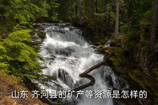 山東 齊河縣的礦產等資源是怎樣的