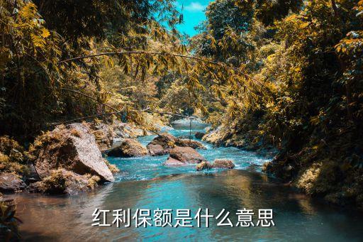 保險(xiǎn)公司每年的紅利