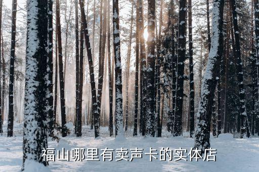 福山哪里有賣(mài)聲卡的實(shí)體店