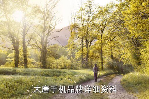 中國大唐集團公司代碼,廣西大唐集團公司領(lǐng)導(dǎo)班子