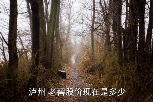 瀘州老窖集團(tuán)2015收入