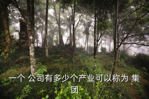 一個 公司有多少個產業(yè)可以稱為 集團