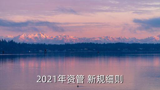 2021年資管 新規(guī)細(xì)則