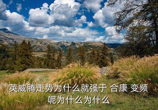 英威騰走勢為什么就強(qiáng)于 合康 變頻呢為什么為什么