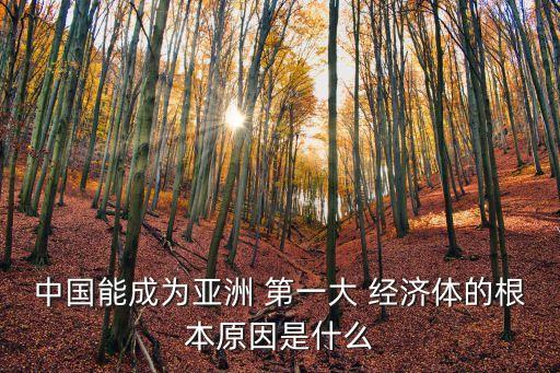 中國經(jīng)濟第一極