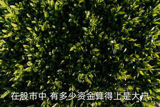在股市中,有多少資金算得上是大戶(hù)