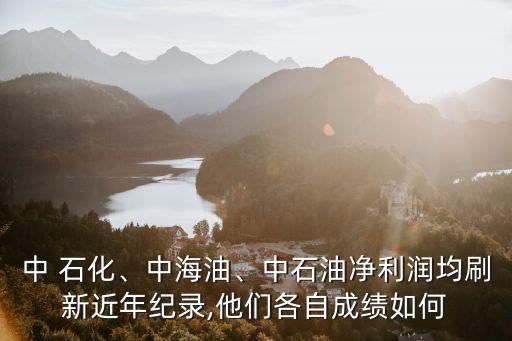 中 石化、中海油、中石油凈利潤均刷新近年紀(jì)錄,他們各自成績?nèi)绾? class=